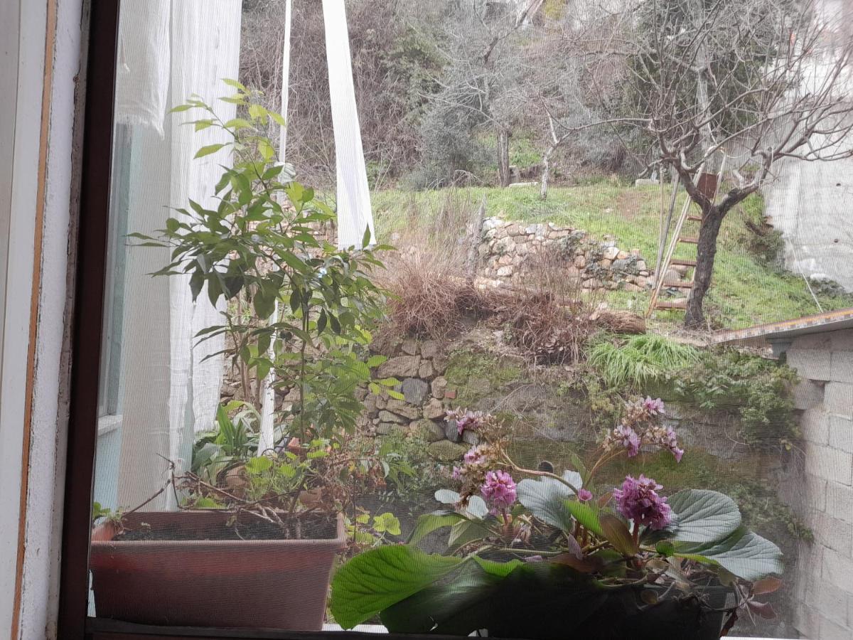 Antichi Sapori Da Speranza Villa Gavoi Room photo
